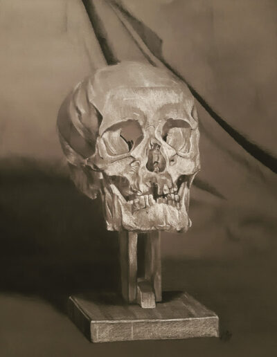 Caroline Davis, Skull Study