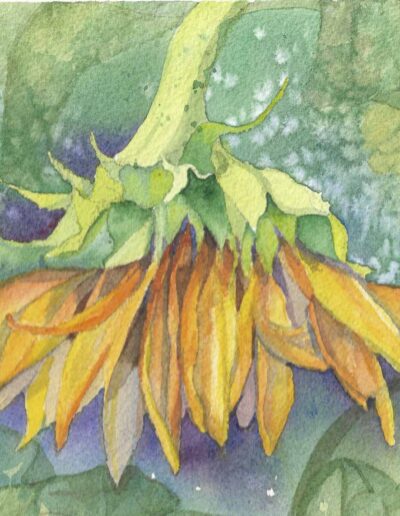 MARILYN HARTWICK, Sunflower